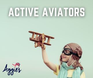 Let imagination take flight with our Active Aviator STEM sessions at the Fleet Air Arm Museum