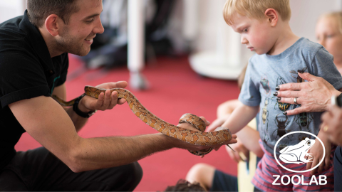 A young boy touches a snake as part of a Zoolabs show