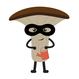 Shelly Fungus Mascot